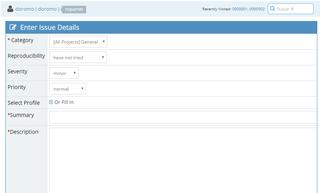 File:320px-Issue details.png