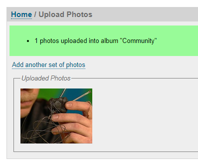 Your photo upload was successful.